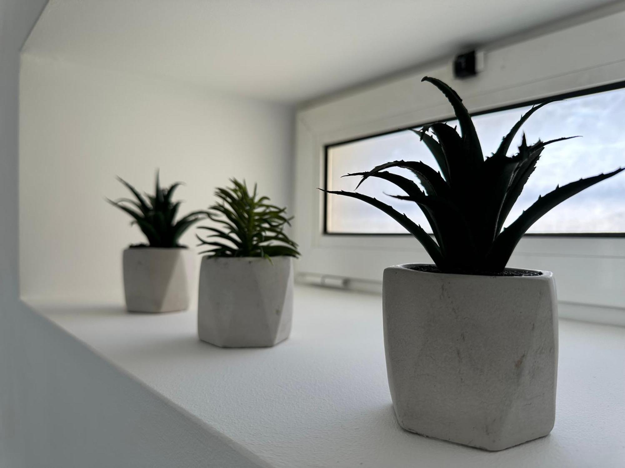 Ferreira House Daire Seia Dış mekan fotoğraf