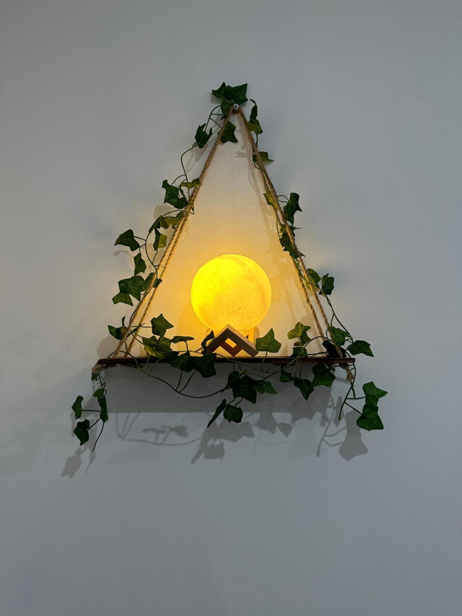 Ferreira House Daire Seia Dış mekan fotoğraf
